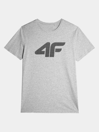 Koszulka męska 4F grey (4FAW23TTSHM0877-27M)