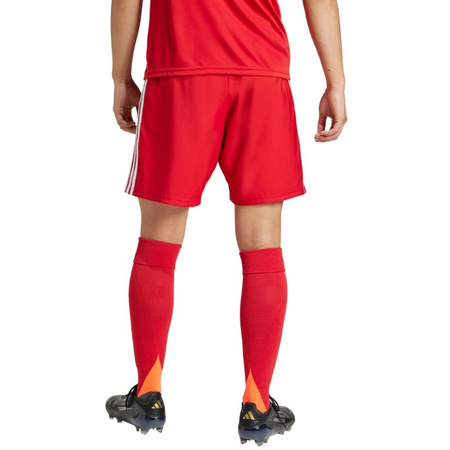 Spodenki adidas Tastigo 25 M JN7157 (1455443)