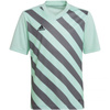 Koszulka adidas Entrada 22 Graphic Jersey Jr (HF0127)