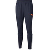 Spodnie Puma teamLIGA Training Pants M 657242 47 (65724247)