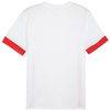 Koszulka Puma teamGoal Matchday Jersey M 705747 11 (70574711)