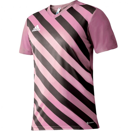 Koszulka adidas Entrada 22 Graphic Jersey Jr (HC2632)