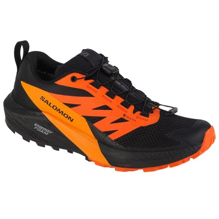Buty do biegania Salomon Sense Ride 5 GTX M (471473)