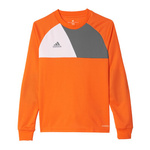 Bluza adidas Assita 17 Jr (AZ5402)