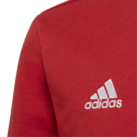 Bluza adidas Entrada 22 Sweat Jr (H57473)