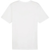 Koszulka męska Puma Team Rise Logo Jersey Cotton biała (658705 04)