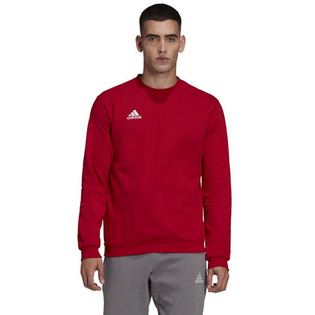 Bluza adidas Entrada 22 Sweatshirt M (HB0577)