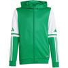 Bluza adidas Squadra 25 Hoody Jr JP3163 (JP3163)