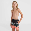 Szorty kąpielowe O'Neil Mix & Match Cali Block 13'' Swim Shorts Jr (92800613811)