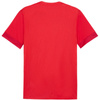 Koszulka Puma teamGoal Matchday Jersey M 705747 01 (1595845)