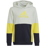 Bluza adidas Colourblock Hoodie Jr (HN8567)