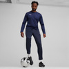 Spodnie Puma Team Goal Training M 658639 06 (65863906)