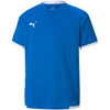 Koszulka Puma teamLIGA Jersey Jr 704925 02 (70492502)