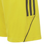 Spodenki adidas Tiro 23 League Jr (IB8095)