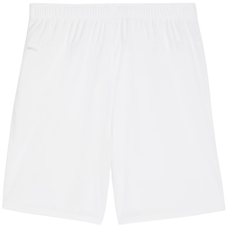 Spodenki męskie Puma Team Goal białe (705752 04)