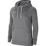 Bluza Nike Team Club 20 Hoodie W CW6957 071 (CW6957071)