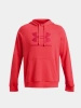 Bluza męska z kapturem Under Armour 1379758-713