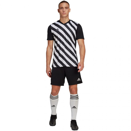 Koszulka adidas Entrada 22 Graphic Jersey M (HF0126)