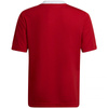 Koszulka adidas Entrada 22 Jsy Jr (H57496)