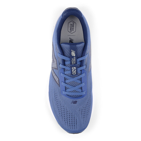 Buty biegowe męskie New Balance 520 Running  (M52028X)