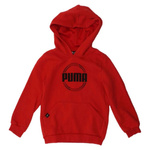 Bluza Puma DCT Hoodie Jr 849258 11 (1521950)
