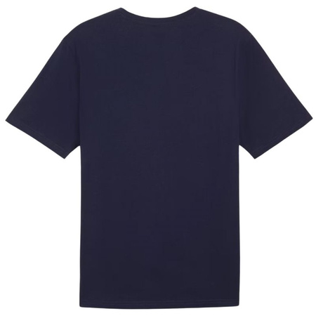 Koszulka Puma Team Rise Logo Jersey Cotton M 658705 06 (65870506)