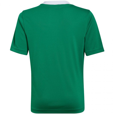 Koszulka adidas Entrada 22 Jersey Jr (HI2126)