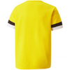 Koszulka Puma teamRise Jersey Jr 704938 07 (70493807)