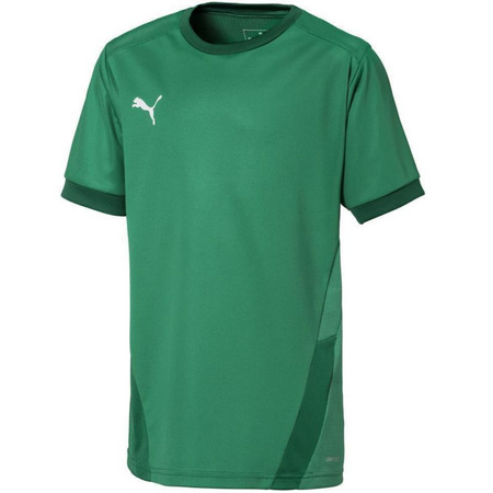 Koszulka Puma teamGOAL 23 Jersey Jr 704160 05 (70416005)