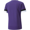 Koszulka Puma teamRise Jersey M 704932 10 (70493210)