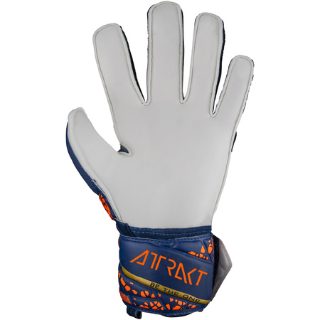 Reusch Attrakt Solid (54/70/515/4410)