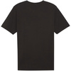 Koszulka męska Puma Team Rise Logo Jersey Cotton czarna (658705 03)