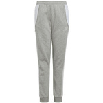 Spodnie adidas Tiro 24 Sweat Jr (IS1009)