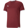 Koszulka Puma teamLIGA Jersey M 704917 09 (70491709)