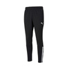 Spodnie Puma teamLiga Training M (657242-03)