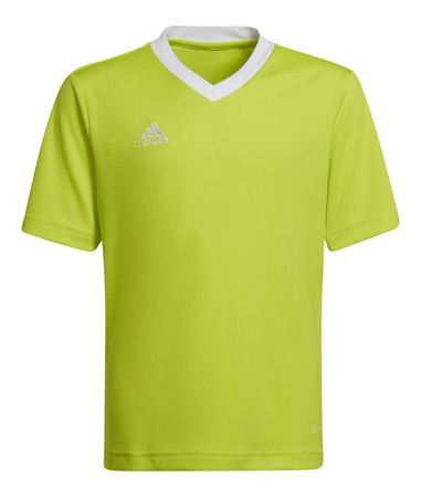 Koszulka adidas Junior Entrada 22 (HC5079)