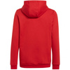 Bluza adidas Entrada 22 Hoody Jr (H57566)