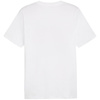 Koszulka Puma Graphics Summer Sports Tee II M 627909 02 (62790902)