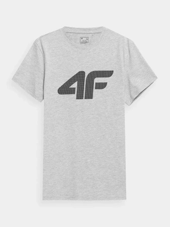 Koszulka męska 4F grey (4FSS23TTSHM537-27M)