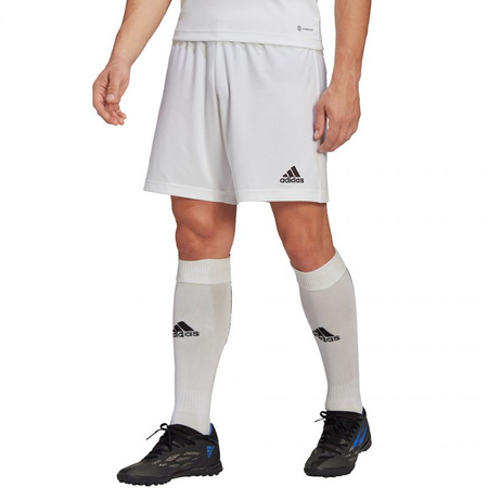 Spodenki adidas Entrada 22 M (HG6295)