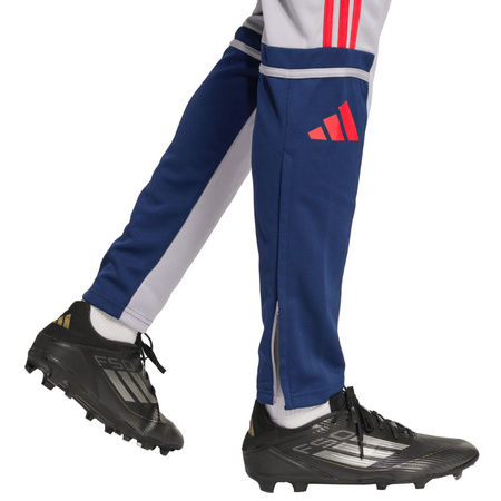 Spodnie męskie adidas Squadra 25 Training szare (JP3372)