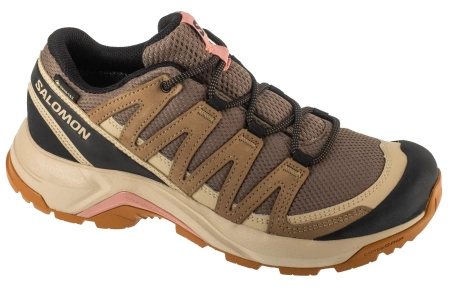 Salomon X-Adventure Recon GTX W (L47815500)