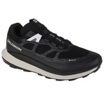 Buty do biegania Salomon Ultra Glide 2 GTX M  (472166)