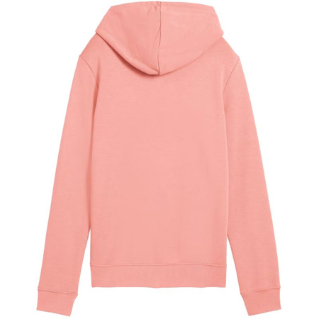 Bluza Puma ESS No.1 Logo Hoodie W 682391 18 (1502663)