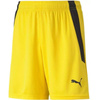 Spodenki Puma teamLIGA Shorts Jr 704931 07 (70493107)