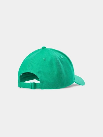 Czapka męska 4F (57927/4FWSS24ACABU266-41S)