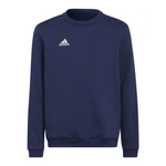 Bluza adidas Entrada 22 Hoody Jr (H57568)