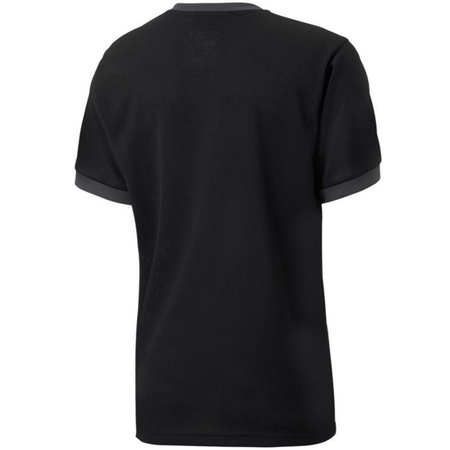 Koszulka Puma teamGOAL 23 Jersey Jr 704160 03 (70416003)