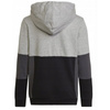 Bluza adidas Colourblock Hoodie Jr (HN8563)