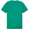 Koszulka Puma Team Goal Casuals Tee M 658615 05 (65861505)